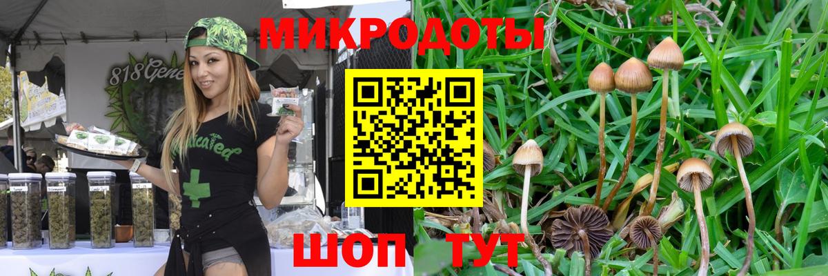 Галлюциногенные грибы мицелий  наркошоп  Кемерово  Вход с VPN  Галлюциногенные грибы мухоморы 